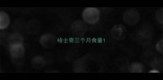 哈士奇三个月食量