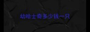 幼哈士奇多少钱一只