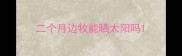 二个月边牧能晒太阳吗