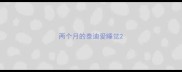 两个月的泰迪爱睡觉