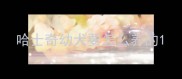 哈士奇幼犬要怎么养的
