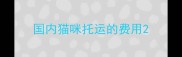 国内猫咪托运的费用