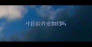 中国能养宠物貂吗