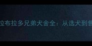 北京CKU认证拉布拉多兄弟犬舍全从选犬到售后全程指南