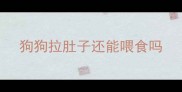 狗狗拉肚子还能喂食吗