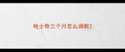 哈士奇三个月怎么调教