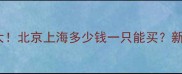 哈士奇幼犬价格大北京上海多少钱一只能买新手必看选购攻略