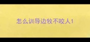 怎么训导边牧不咬人