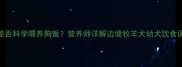 边境牧羊犬幼犬期能否科学喂养狗饭营养师详解边境牧羊犬幼犬饮食误区与正确喂养指南