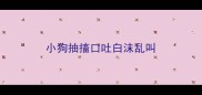 小狗抽搐口吐白沫乱叫