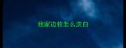我家边牧怎么洗白