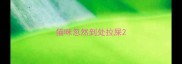 猫咪忽然到处拉屎