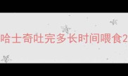 哈士奇吐完多长时间喂食