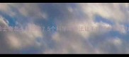 哈士奇怎么胖回来5个科学喂养法让毛孩子重获活力