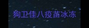 狗卫佳八疫苗冰冻