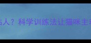 5个月大不粘人科学训练法让猫咪主动蹭你腿