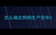 怎么确定狗狗生产完毕