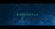 泰迪到处尿尿怎么办