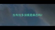 拉布拉多泪痕是病态吗