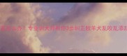 边牧拆家怎么办专业训犬师教你3步纠正牧羊犬乱咬乱添乱行为