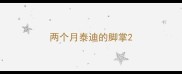 两个月泰迪的脚掌