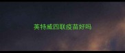 英特威四联疫苗好吗