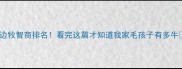 边牧智商排名看完这篇才知道我家毛孩子有多牛
