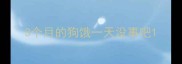 3个月的狗饿一天没事吧