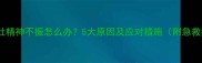狗狗呕吐精神不振怎么办5大原因及应对措施附急救指南