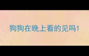 狗狗在晚上看的见吗