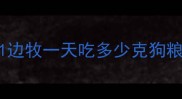 1边牧一天吃多少克狗粮