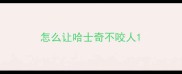 怎么让哈士奇不咬人