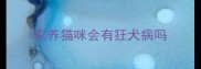 家养猫咪会有狂犬病吗