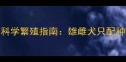 雪纳瑞最佳配种年龄与科学繁殖指南雄雌犬只配种时间表及健康注意事项