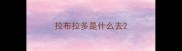 拉布拉多是什么去