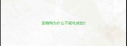 宠物狗为什么不能吃咸的