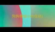 狗狗得细小的症状