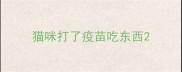 猫咪打了疫苗吃东西