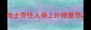 哈士奇往人身上扑啥意思
