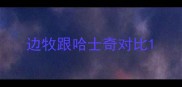 边牧跟哈士奇对比