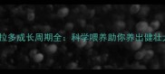 拉布拉多成长周期全科学喂养助你养出健壮犬只