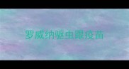 罗威纳驱虫跟疫苗