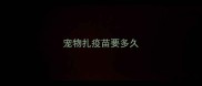 宠物扎疫苗要多久