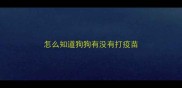 怎么知道狗狗有没有打疫苗