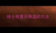 哈士奇夏天降温的方法