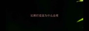 比熊打疫苗为什么会疼