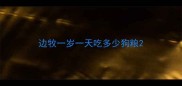 边牧一岁一天吃多少狗粮