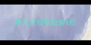 养几只拉布拉多好
