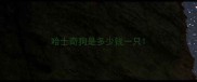 哈士奇狗是多少钱一只