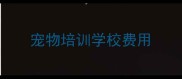 宠物培训学校费用